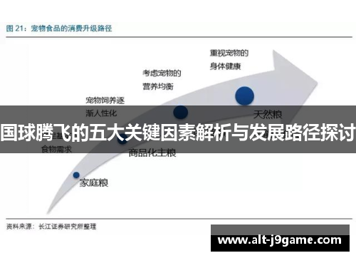 国球腾飞的五大关键因素解析与发展路径探讨