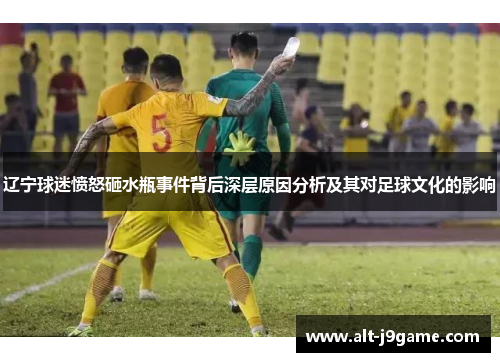 辽宁球迷愤怒砸水瓶事件背后深层原因分析及其对足球文化的影响