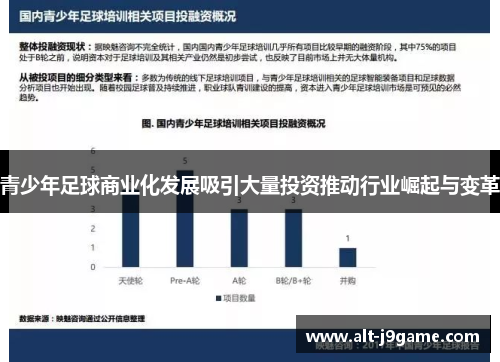 青少年足球商业化发展吸引大量投资推动行业崛起与变革