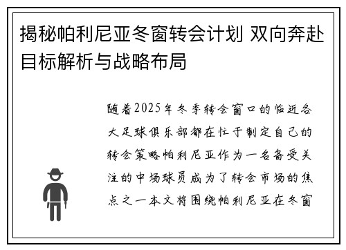 揭秘帕利尼亚冬窗转会计划 双向奔赴目标解析与战略布局